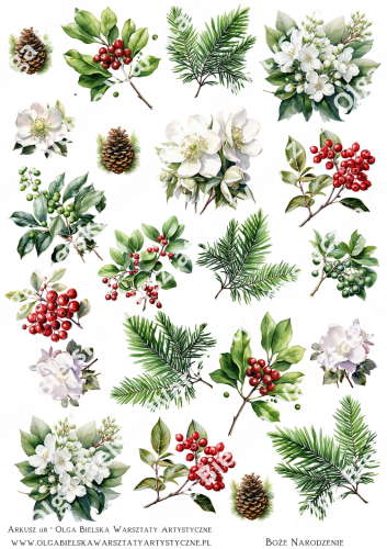 zwArkusz 118 gałazki BM owoce.png