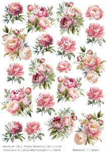 MATOWE grafiki arkusz A4 199 piwonie grafiki do wycinania