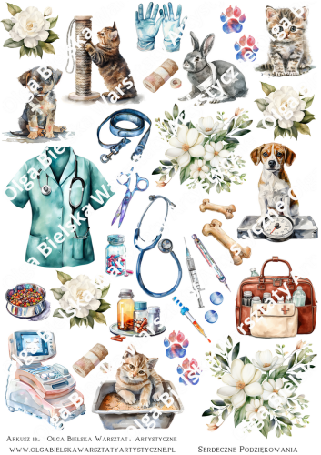 aaArkusz185 weterynarz.png