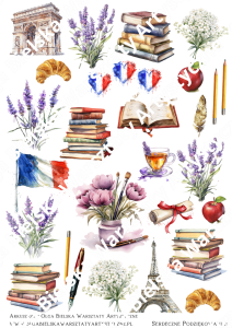 MATOWY arkusz A4 67 dla nauczyciela JĘZYK FRANCUSKI arkusz grafik