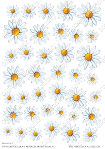 MATOWE grafiki arkusz STOKROTKI 3D 411 A4 grafiki do wycinania