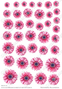 MATOWE grafiki arkusz A4 414 gerbery 3D grafiki do wycinania