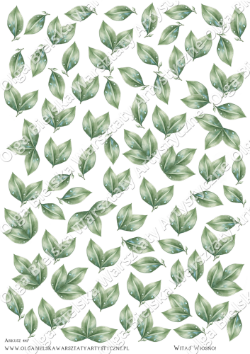 zwArkusz441 listki małexc.png