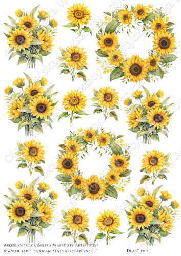 zwArkusz451 słoneczniki.png