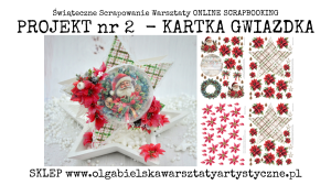 PROJEKT 2 - MiniKIT (bez dodatków) kartka gwiazdka z kwiatami z kalki - 588, 589x2szt. świąteczne scrapowanie 2025