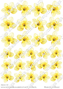 Kalka arkusz A4 799 KWIATY żonkile Wiosna Ach To TY! żółte kwiaty