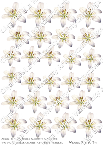 Kalka arkusz A4 811 KWIATY białe lilie komunia chrzest bierzmowanie