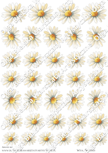 Kalka arkusz A4 821 KWIATY stokrotki komunia chrzest bierzmowanie