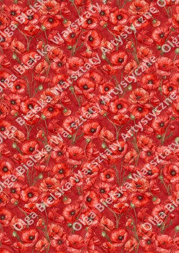 Arkusz845 tło makizw.png