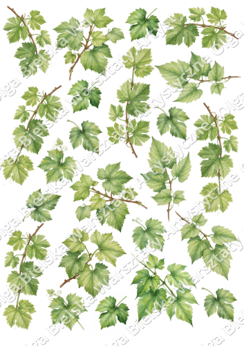 Arkusz859x15 lustrozw.png