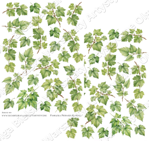 MATOWE grafiki arkusz  A4 859 dwustronny LISTKI winorośl grafiki do wycinania