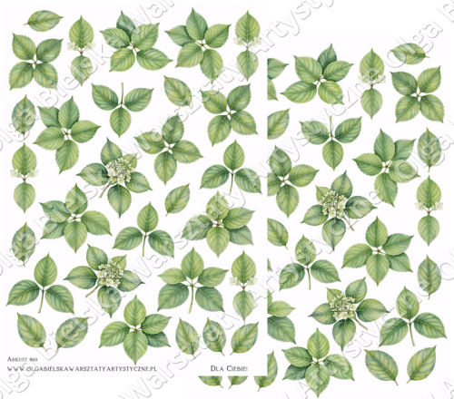 Arkusz860x15 lustro2.png