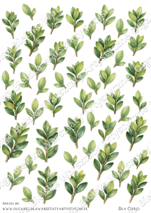 MATOWE grafiki arkusz  A4 861 LISTKI bukszpan grafiki do wycinania