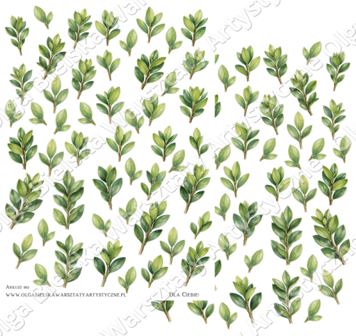 Arkusz861x15 lustro2.png