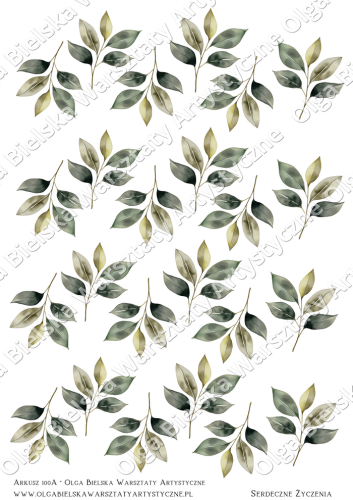 kalka arkusz 100Azw.png