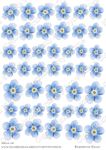 Kalka arkusz A4 798 KWIATY niezapominajki 