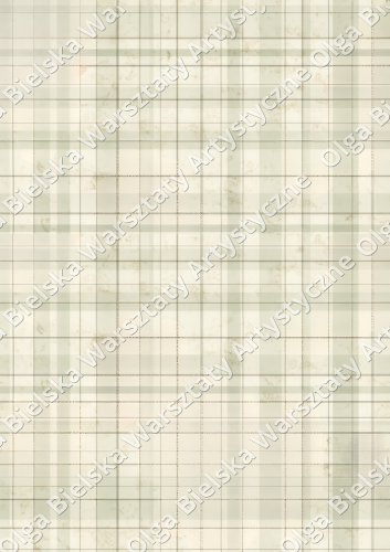 arkusz 880A lustrozw.png