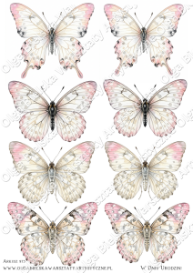 KALKA arkusz A4 973  A4 motyle do wycinania