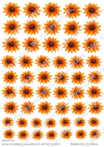 kalka1090zw.png