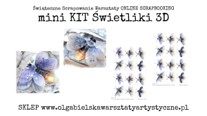 miniKIT Świetliki zimowe owady 3D arkusze Warsztaty Niespodzianka  1388, kalka1388