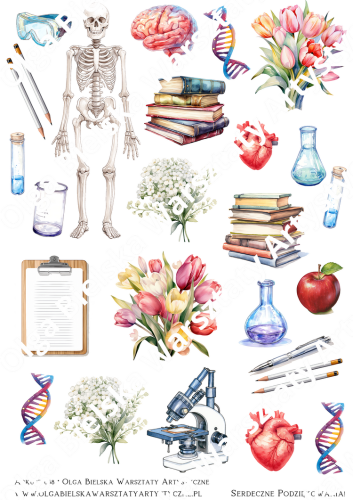 zwArkusz 058 biologia.png