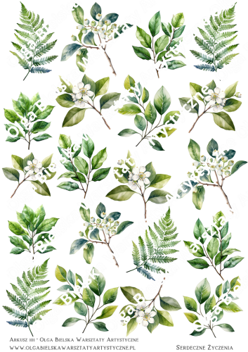 Bez nazwy (210 x 297 mm) (16)203aaaass.png