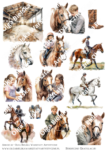 Arkusz 110 KONIE2 uzupełniającydd.png