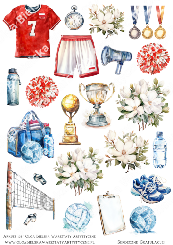 Arkusz 138 siatkówkaccczzz.png