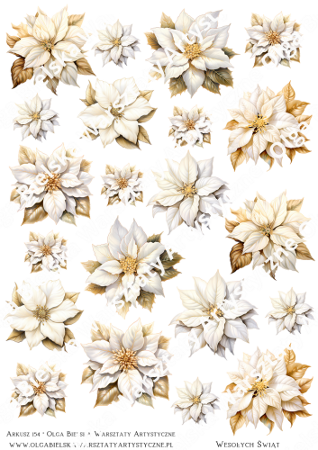 zwArkusz154 zlote poinsece.png