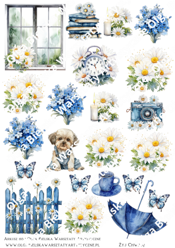 Arkusz193 stokrotki jeanszee.png